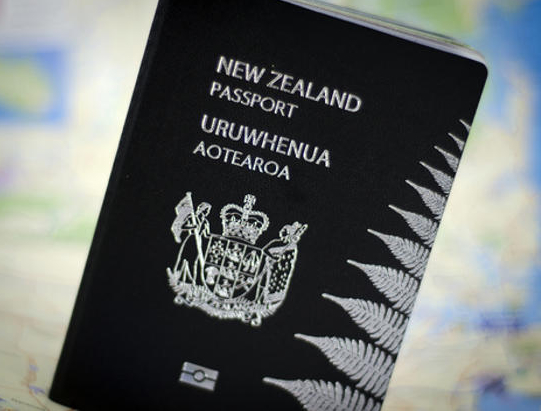 what is travel document nz